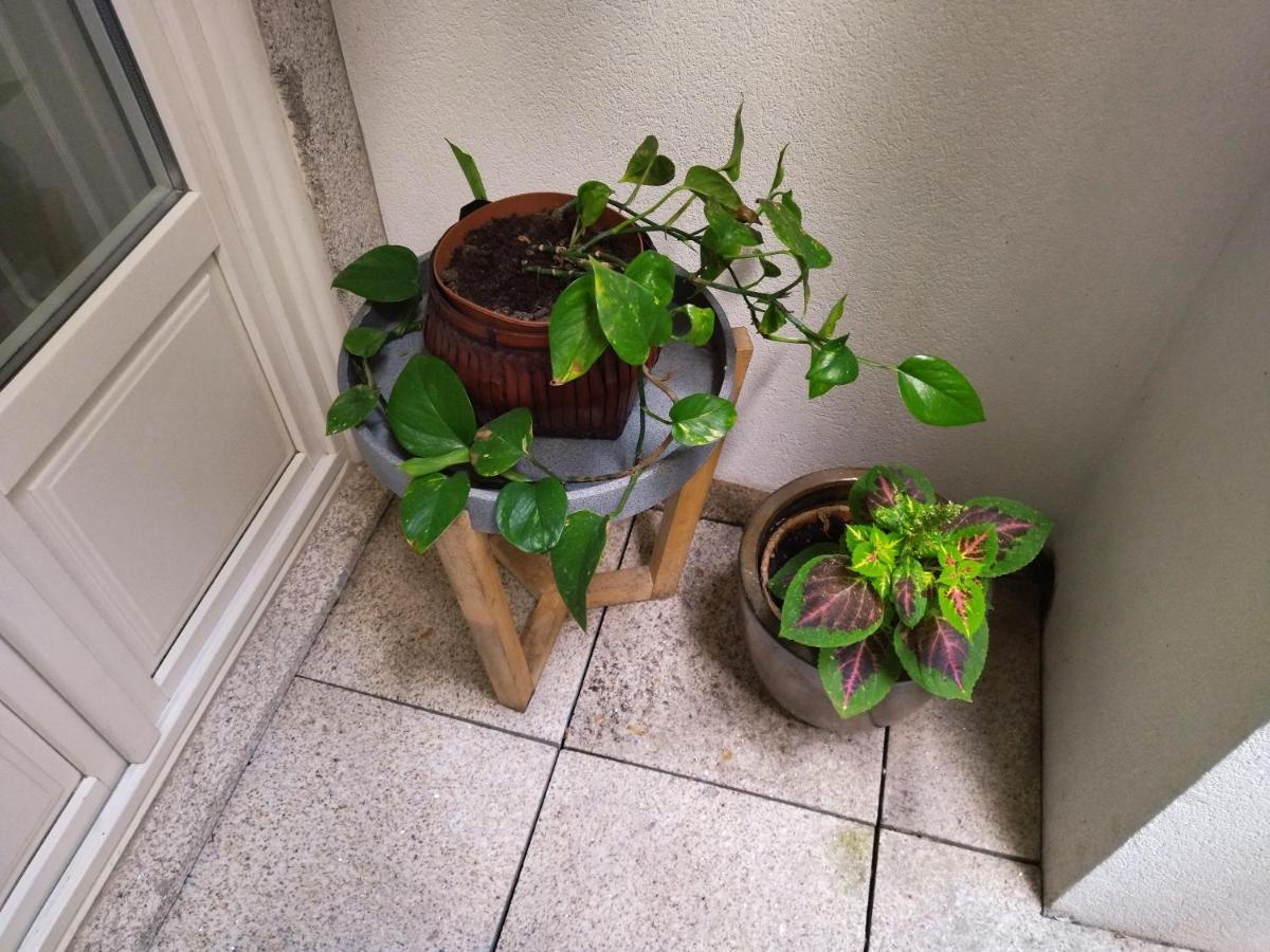 פורטו Santa Catarina Patio Apartment - With Washer Machine מראה חיצוני תמונה